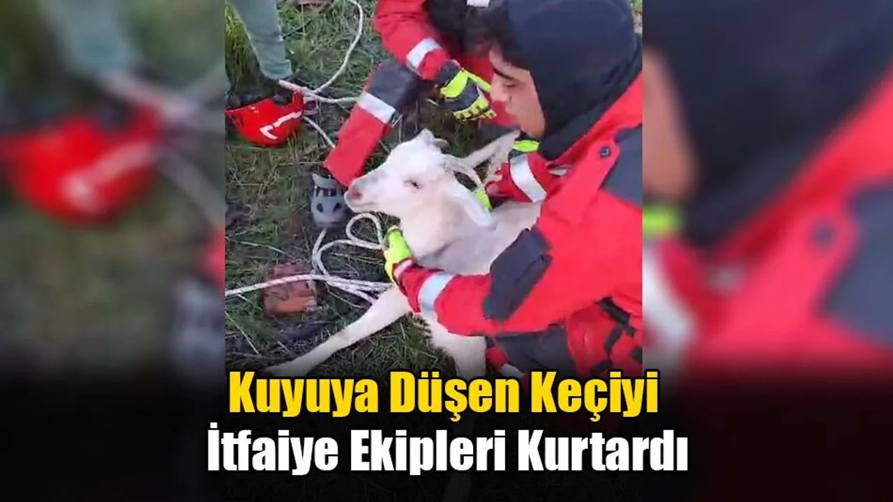Kuyuya Düşen Keçiyi İtfaiye Ekipleri Kurtardı
