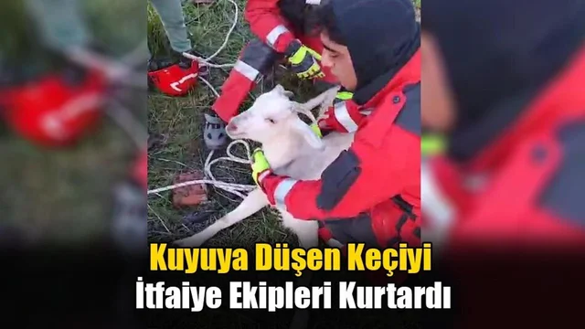 Kuyuya Düşen Keçiyi İtfaiye Ekipleri Kurtardı