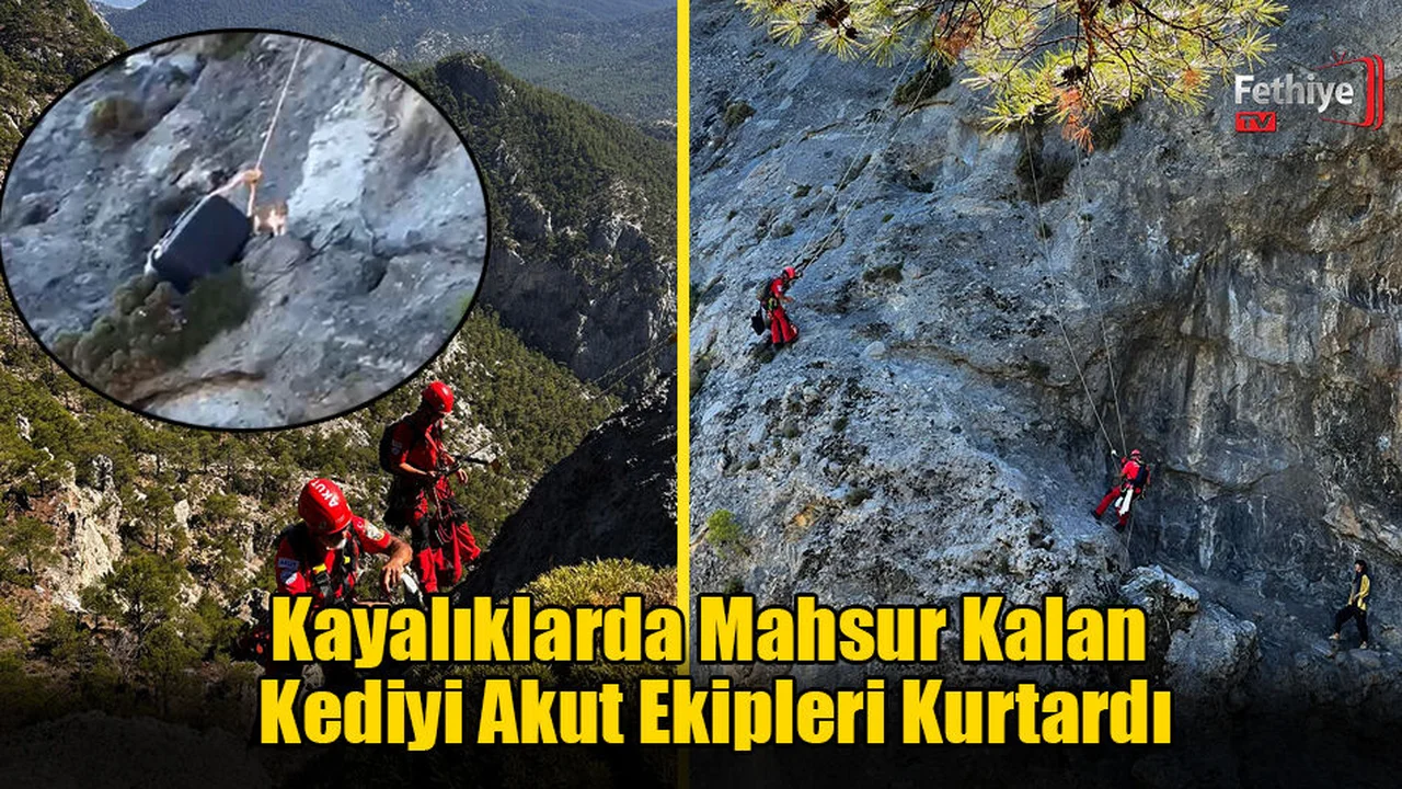 Kayalıklarda Mahsur Kalan Kediyi Akut Ekipleri Kurtardı