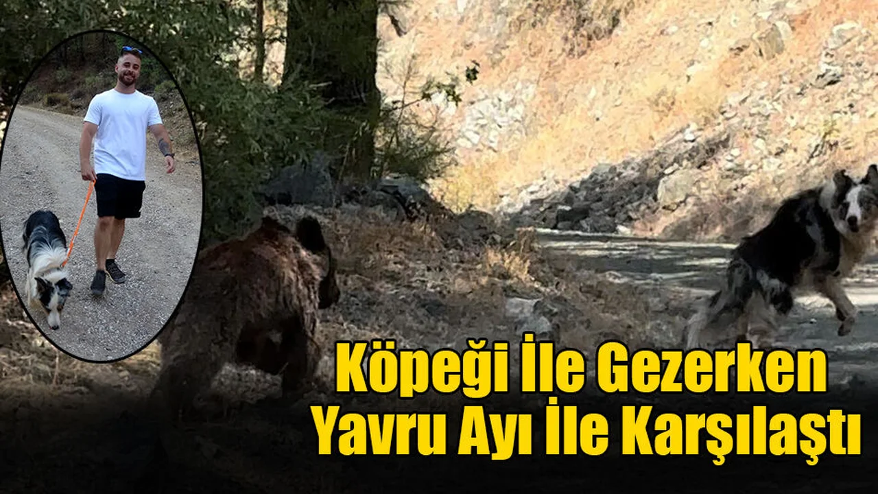 Köpeği İle Gezerken Yavru Ayı İle Karşılaştı