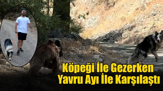Köpeği İle Gezerken Yavru Ayı İle Karşılaştı