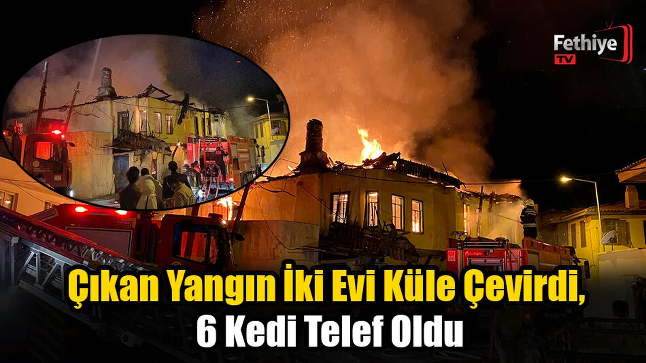 Milas'ta Geceyi Alevler Aydınlattı