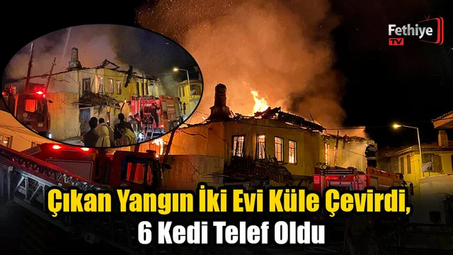 Milas'ta Geceyi Alevler Aydınlattı