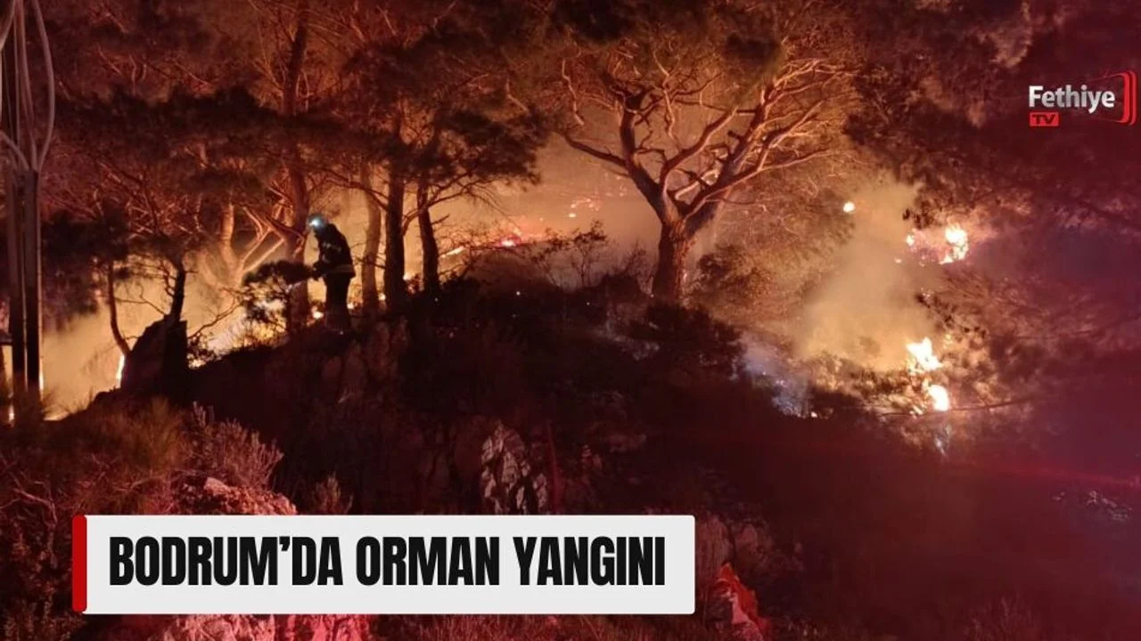 Bodrum’da Orman Yangını
