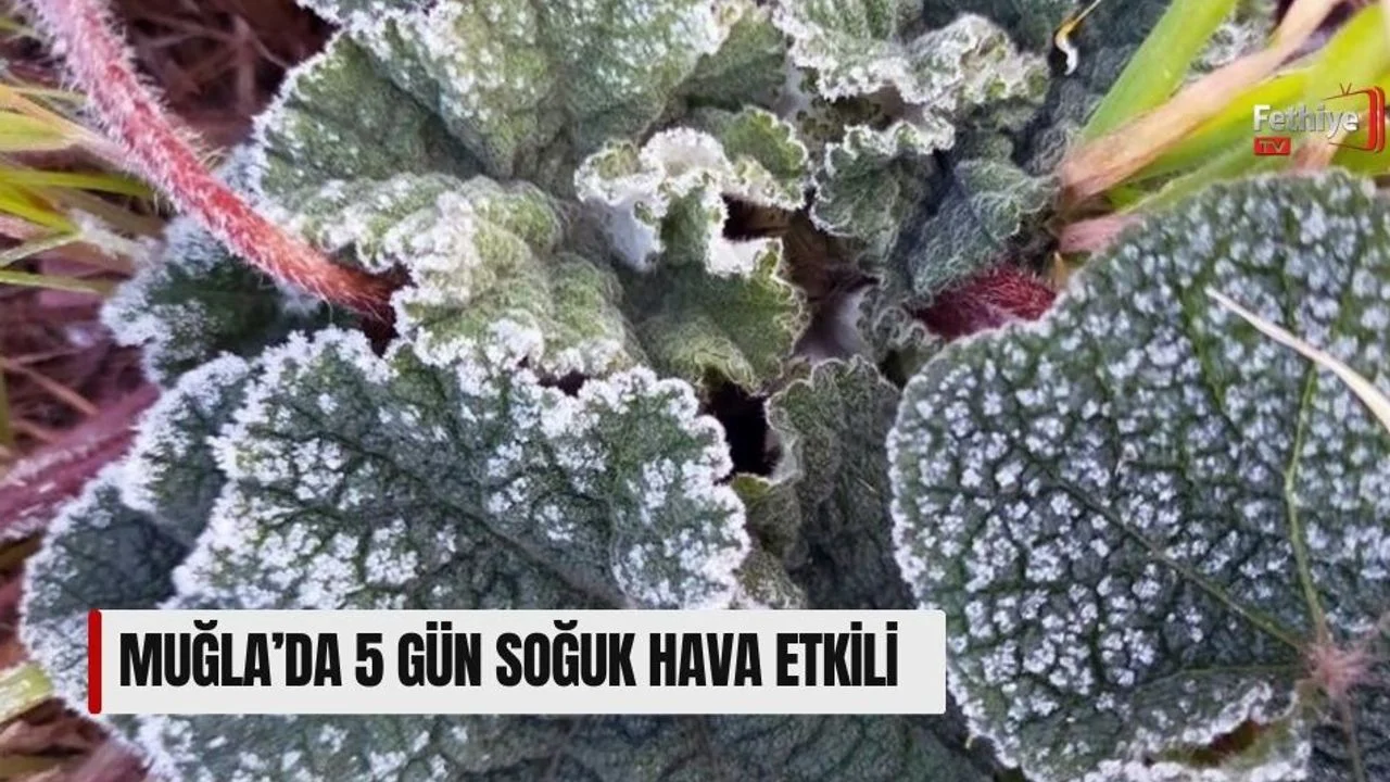 Muğla’da 5 Gün Soğuk Hava Etkili