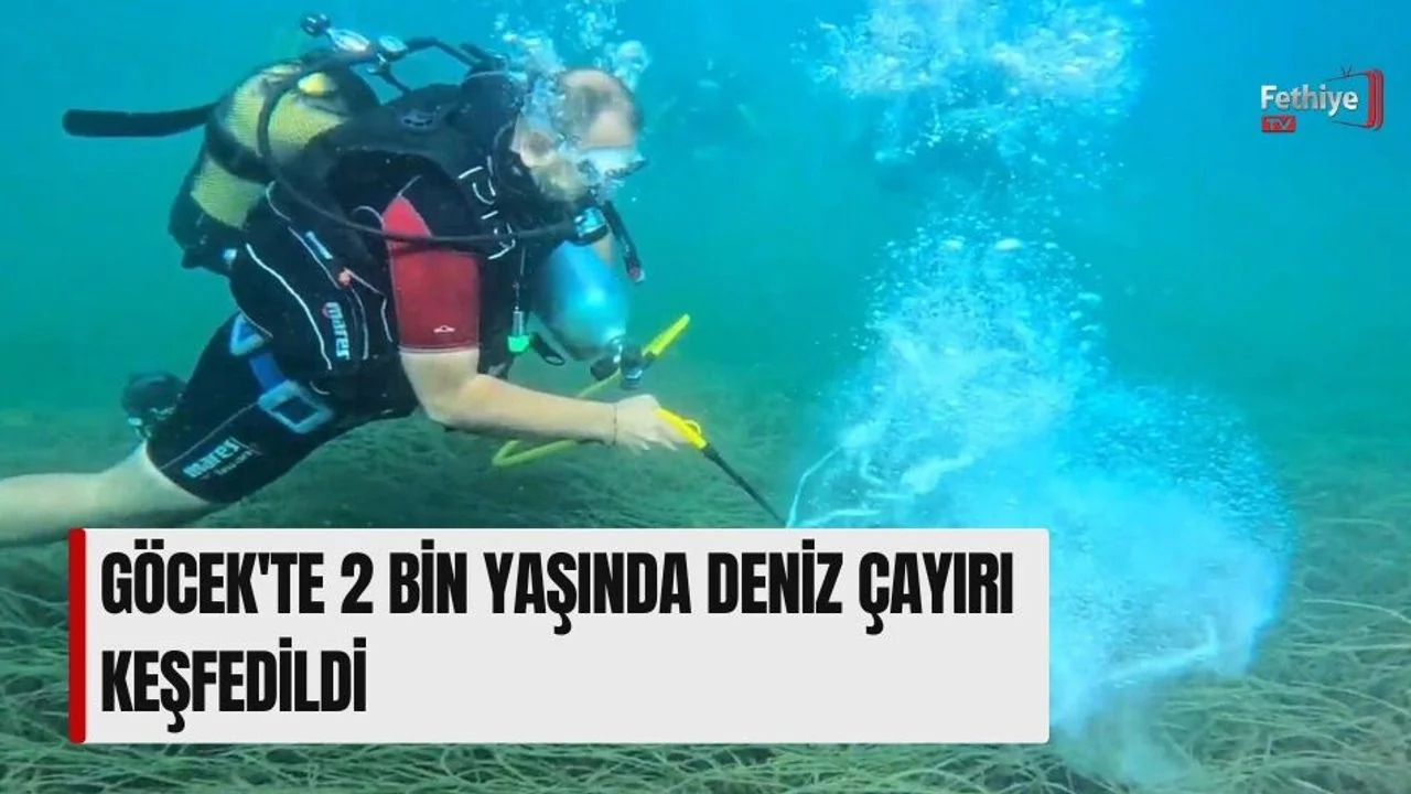 Göcek'te 2 Bin Yaşında Deniz Çayırı Keşfedildi