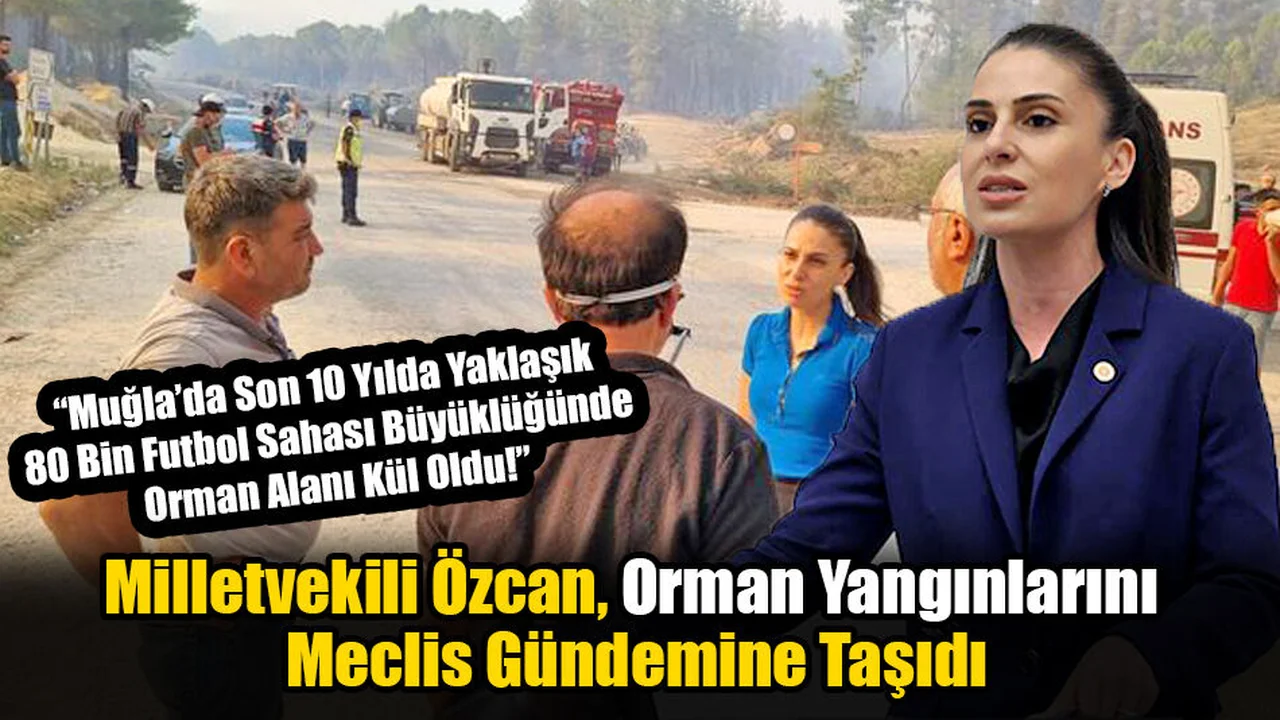 Milletvekili Özcan, Orman Yangınlarını Meclise Taşıdı
