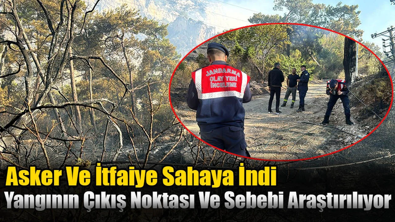 Menteşe'deki Yangının Çıkış Noktası Ve Sebebi Araştırılıyor