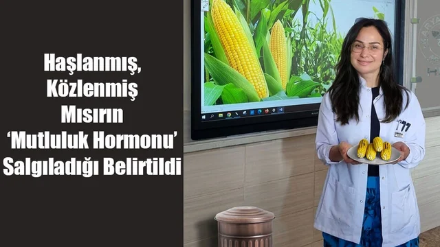 Haşlanmış Ve Közlenmiş Mısırın ‘Mutluluk Hormonu’ Salgıladığı Belirtildi