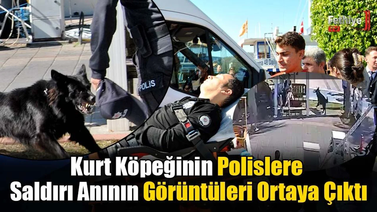 Köpeğin Isırdığı Polis Memuruna 10 Günlük Rapor Verildi