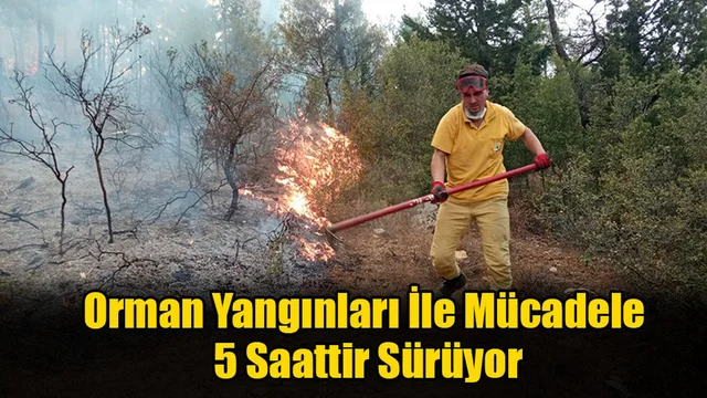 Orman Yangınları İle Mücadele 5 Saattir Sürüyor