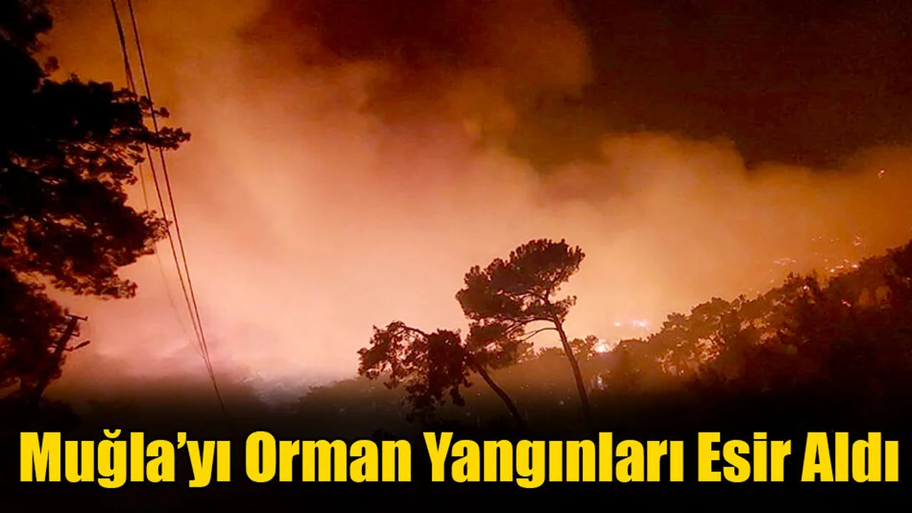 Muğla’yı Orman Yangınları Esir Aldı