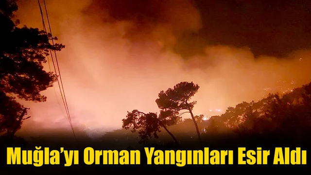 Muğla’yı Orman Yangınları Esir Aldı