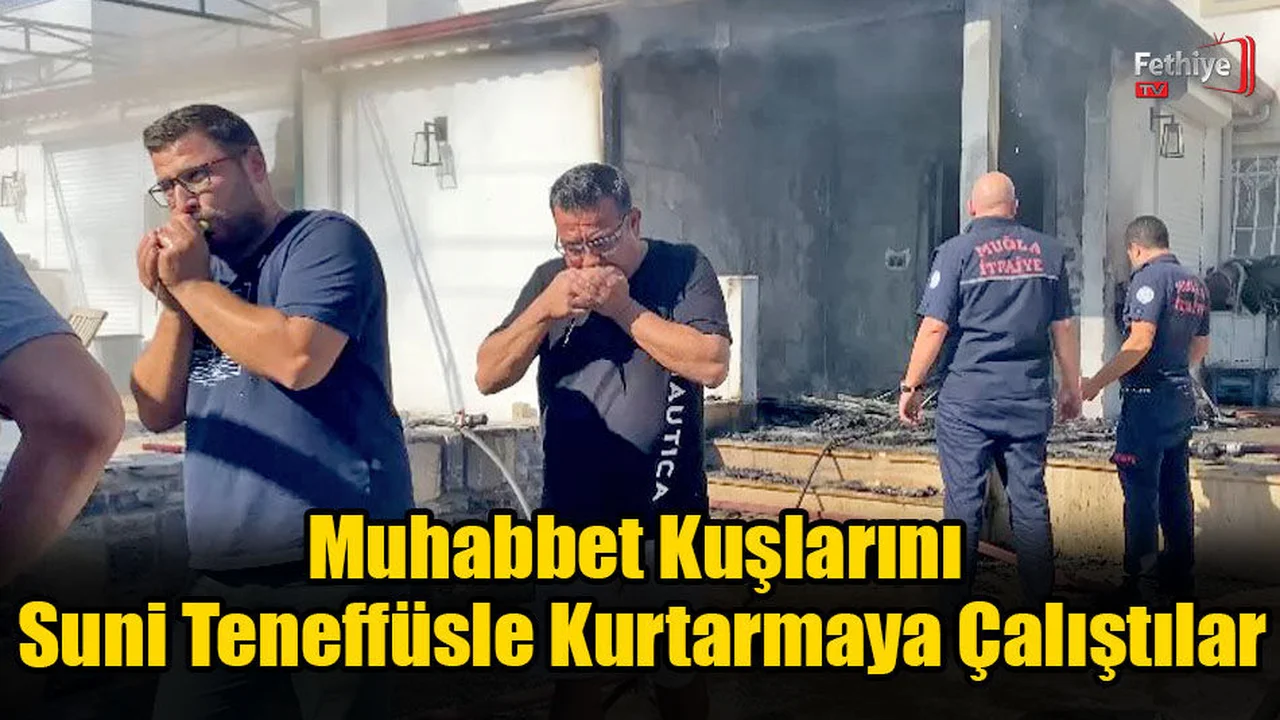 Muhabbet Kuşlarını Suni Teneffüsle Kurtarmaya Çalıştılar