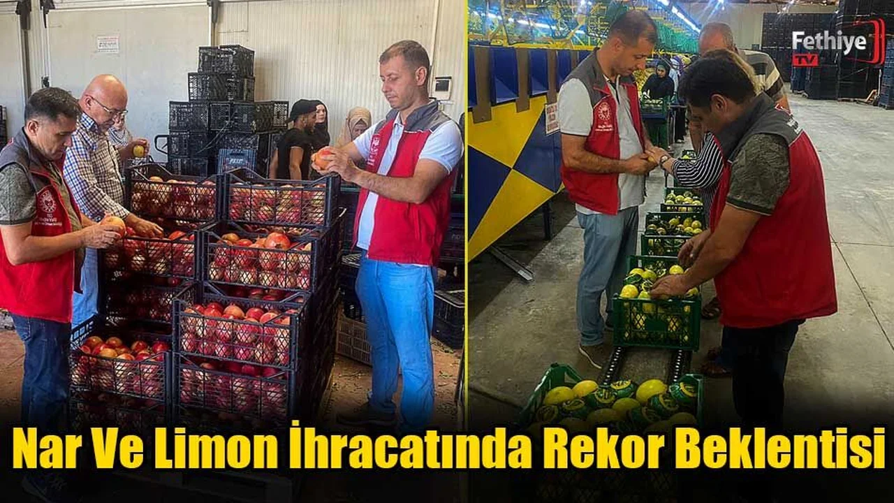 Nar Ve Limon İhracatında Rekor Beklentisi