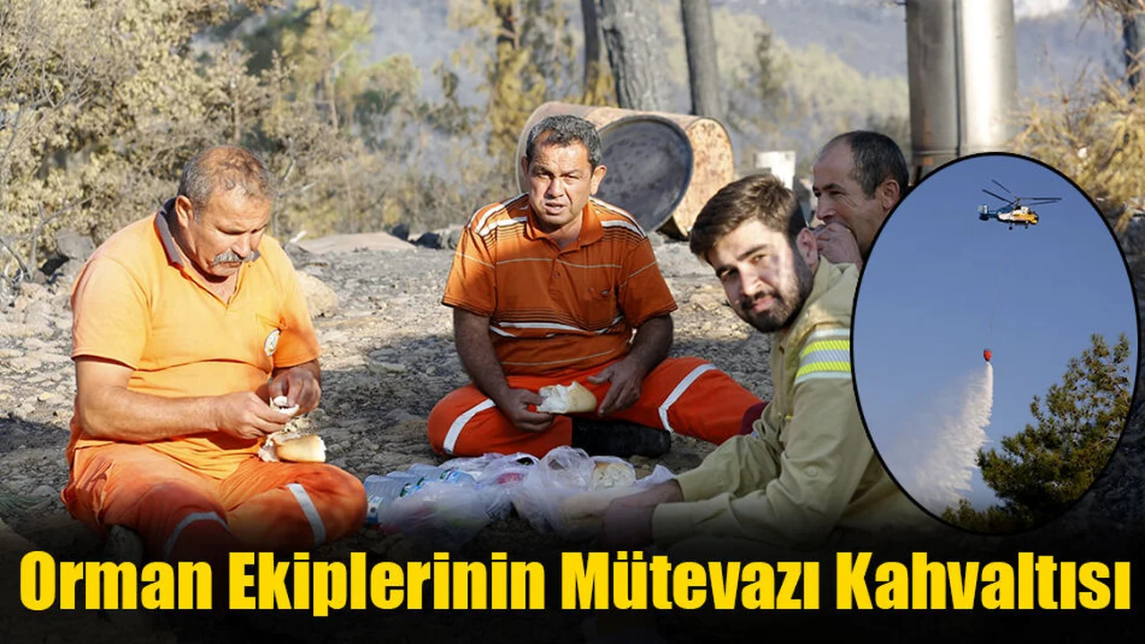 Orman Ekiplerinin Mütevazı Kahvaltısı