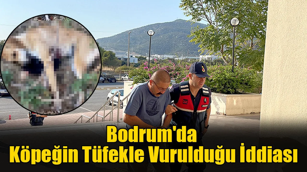 Bodrum'da Köpeğin Tüfekle Vurulduğu İddiası