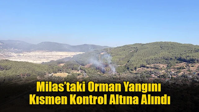 Milas’taki Orman Yangını Kısmen Kontrol Altına Alındı