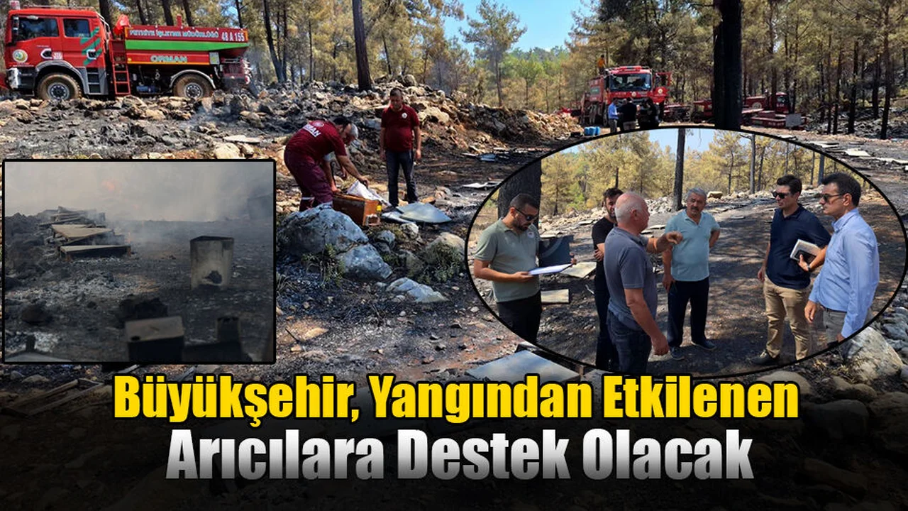 Büyükşehir, Yangından Etkilenen Arıcılara Destek Olacak