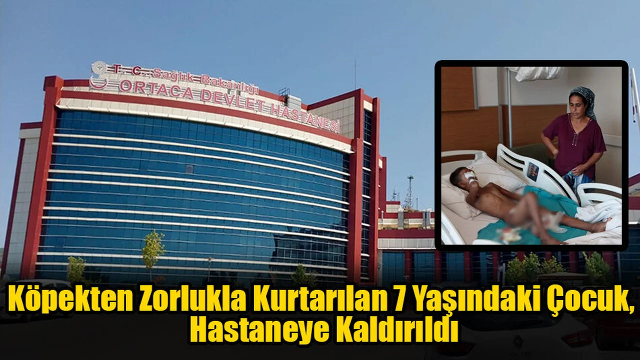 Köpekten Zorlukla Kurtarılan 7 Yaşındaki Çocuk, Hastaneye Kaldırıldı