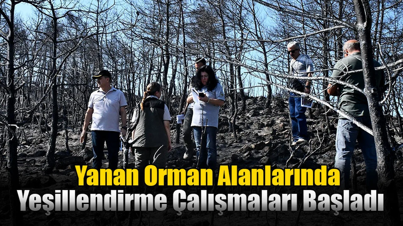 Yanan Orman Alanlarında Yeşillendirme Çalışmaları Başladı