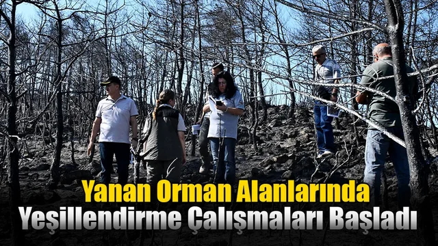 Yanan Orman Alanlarında Yeşillendirme Çalışmaları Başladı