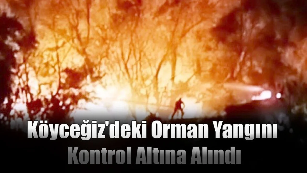 Köyceğiz'deki Orman Yangını Kontrol Altına Alındı