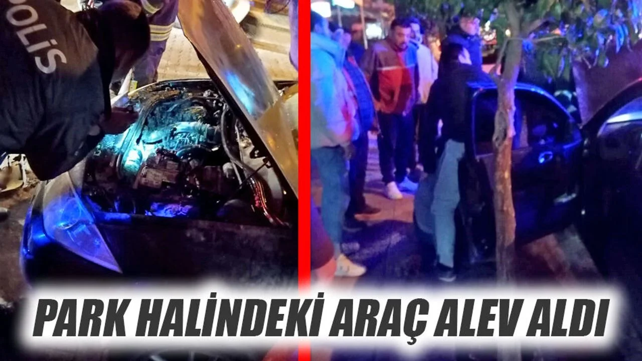 Park Halindeki Araç Alev Aldı