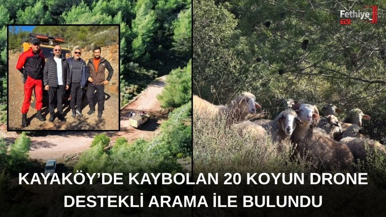 Kayaköy’de Kaybolan 20 Koyun Drone Destekli Arama İle Bulundu