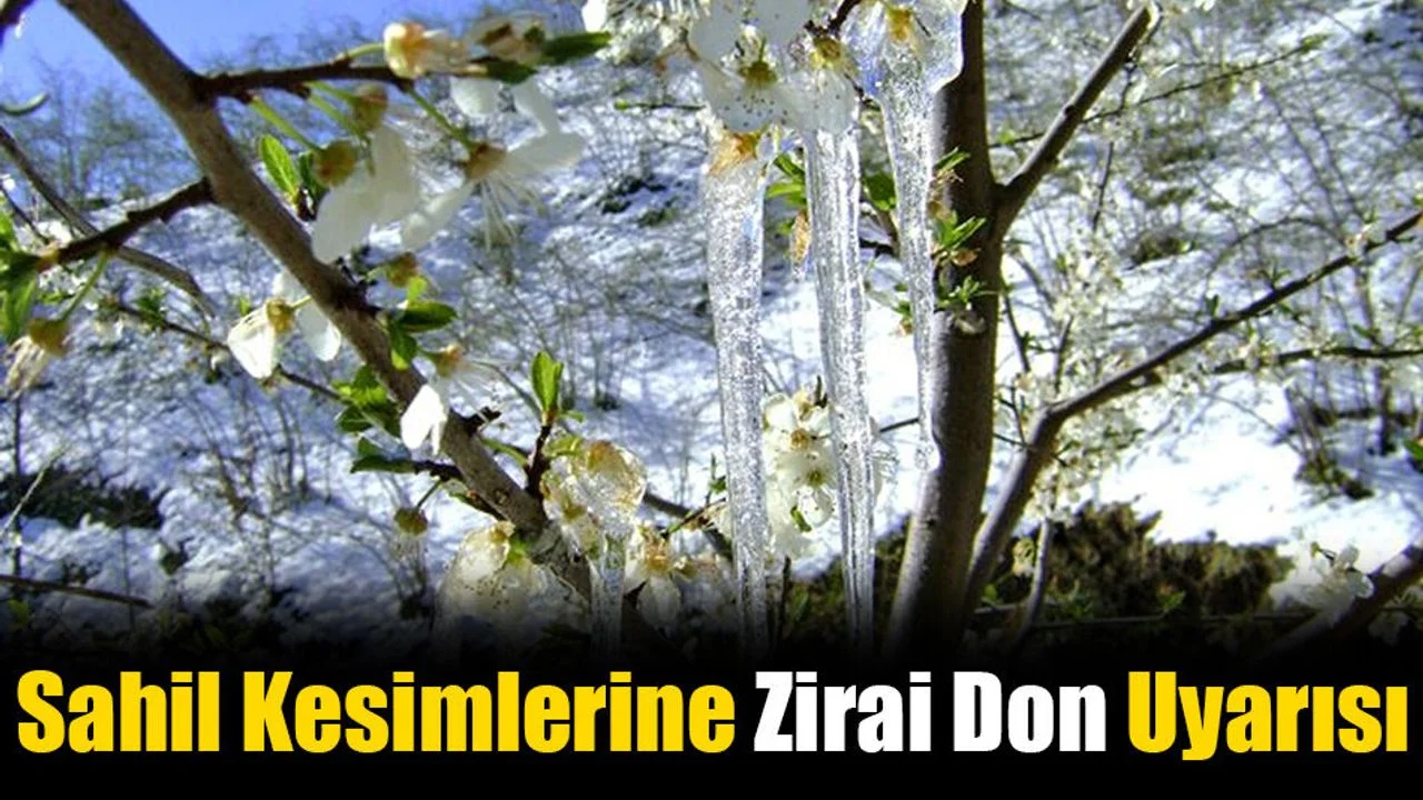 Sahil Kesimlerine Zirai Don Uyarısı