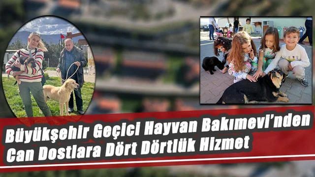 Büyükşehir Geçici Hayvan Bakımevi’nden Can Dostlara Dört Dörtlük Hizmet