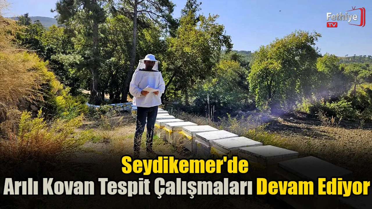 Seydikemer'de Arılı Kovan Tespit Çalışmaları Devam Ediyor