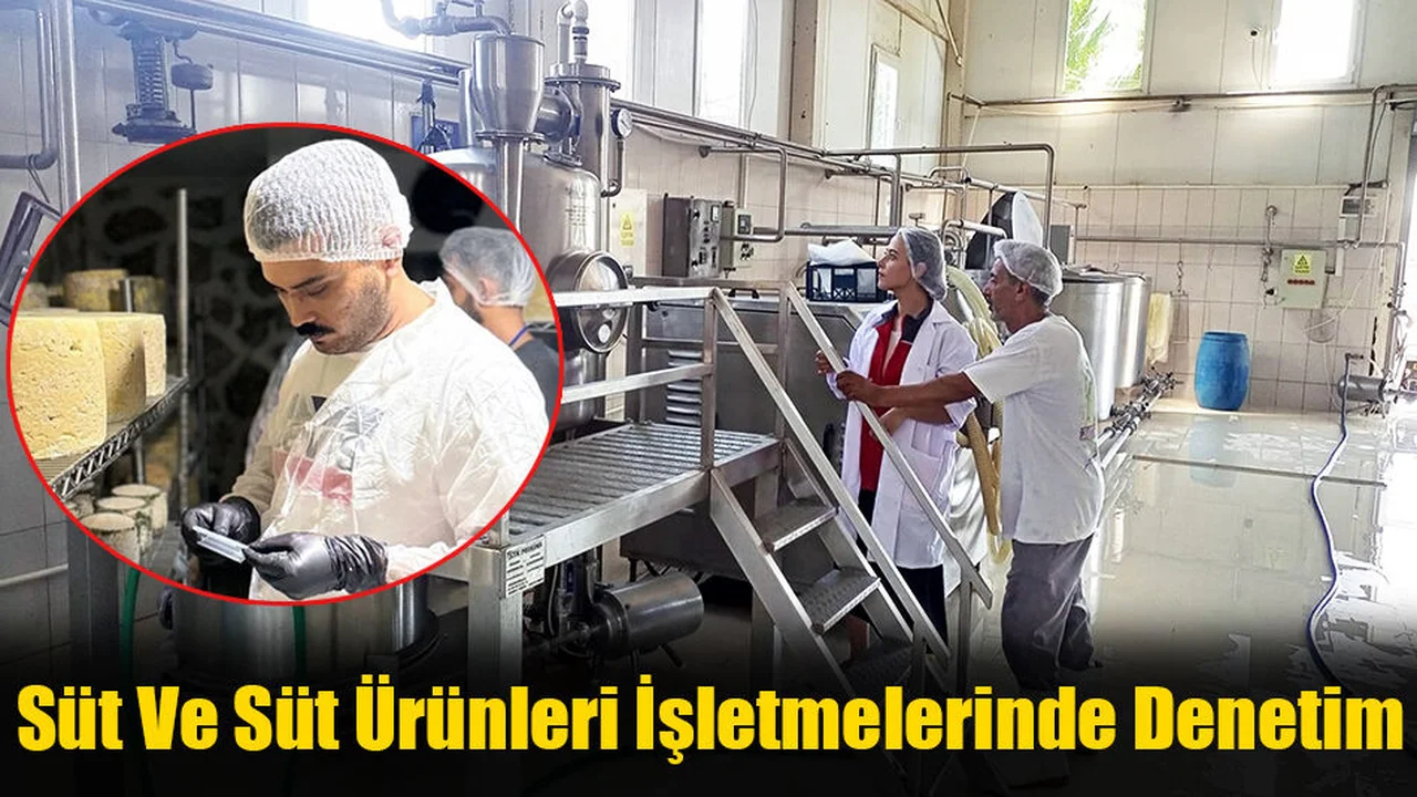 Süt Ve Süt Ürünleri İşletmelerinde Denetim