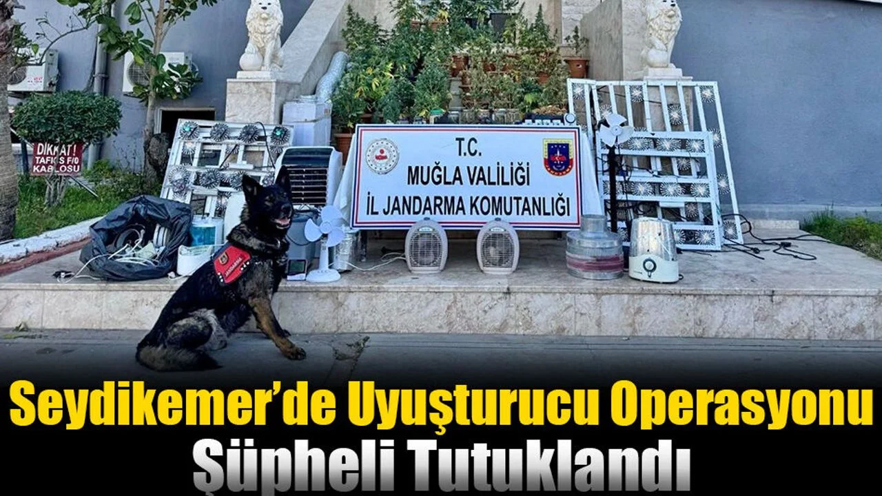 Seydikemer’de Uyuşturucu Operasyonu: Şüpheli Tutuklandı
