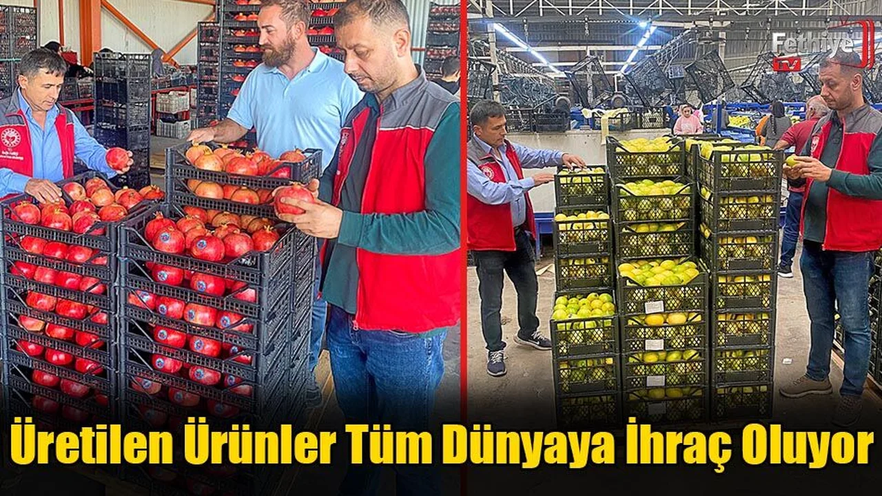 Üretilen Ürünler Tüm Dünyaya İhraç Oluyor