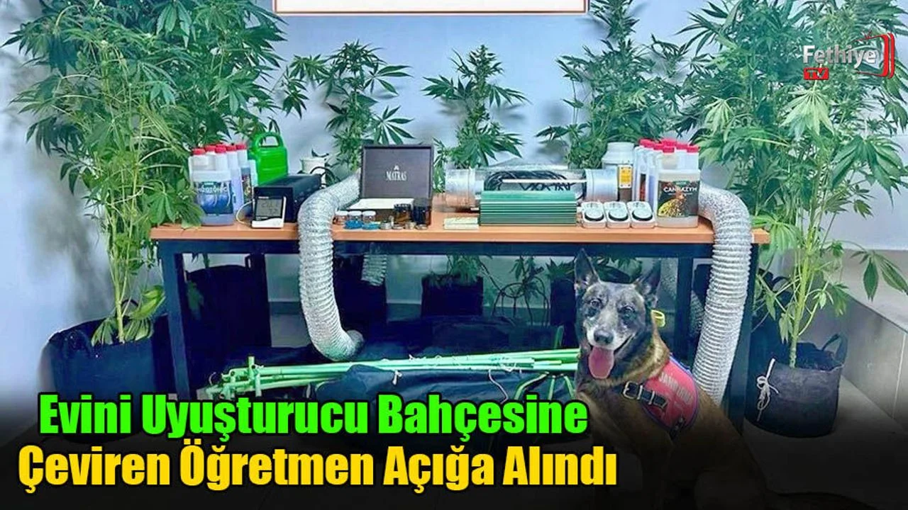 Evini Uyuşturucu Bahçesine Çeviren Öğretmen Açığa Alındı
