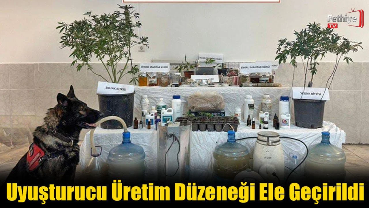 Uyuşturucu Üretim Düzeneği Ele Geçirildi