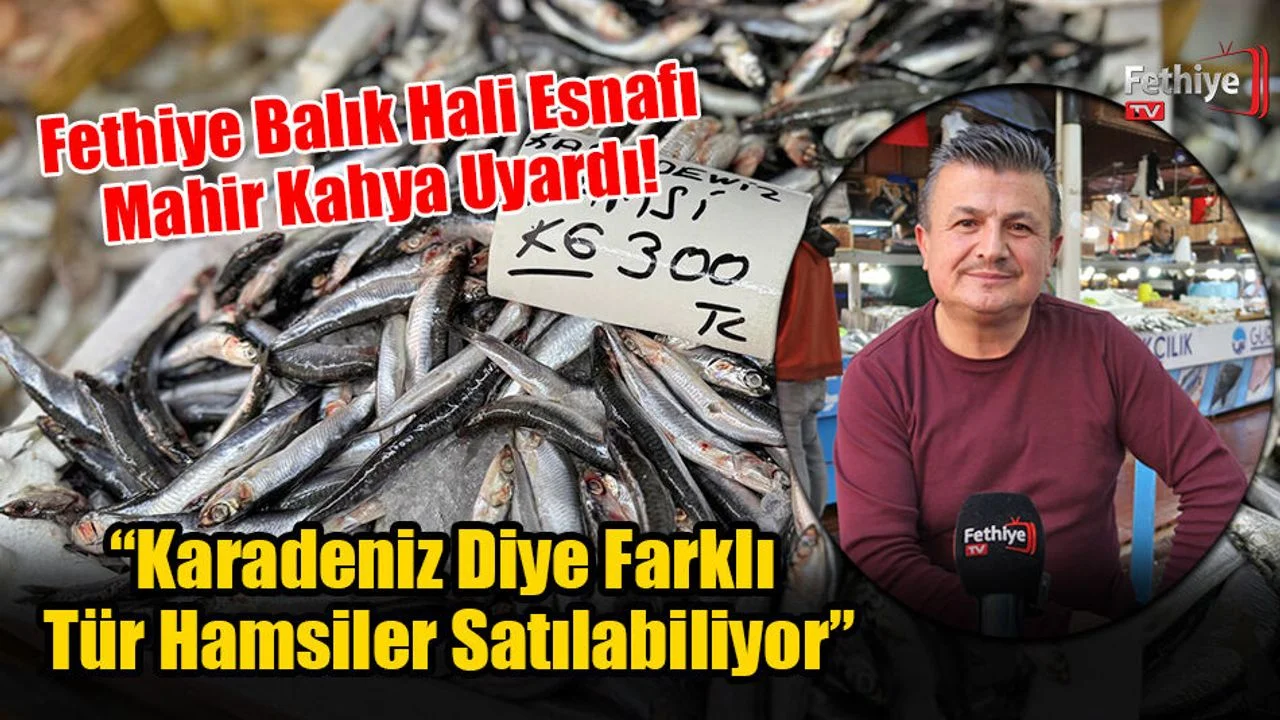 Fethiye Balık Hali Esnafı Mahir Kahya Uyardı!