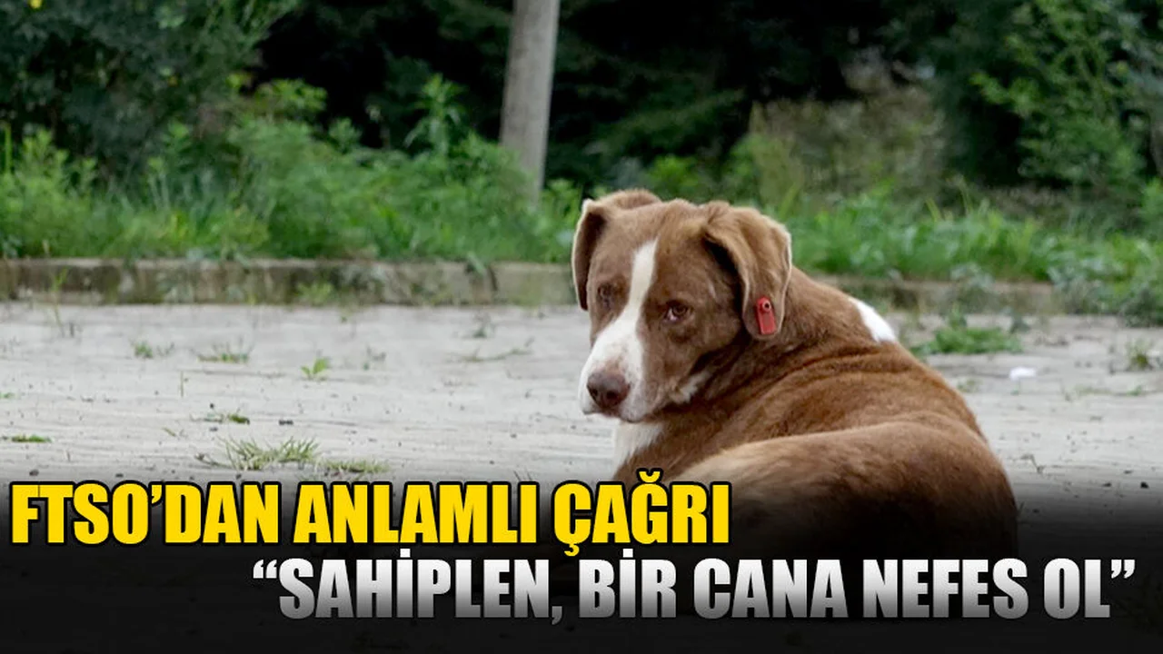 FTSO’dan Anlamlı Çağrı: “Sahiplen, Bir Cana Nefes Ol”