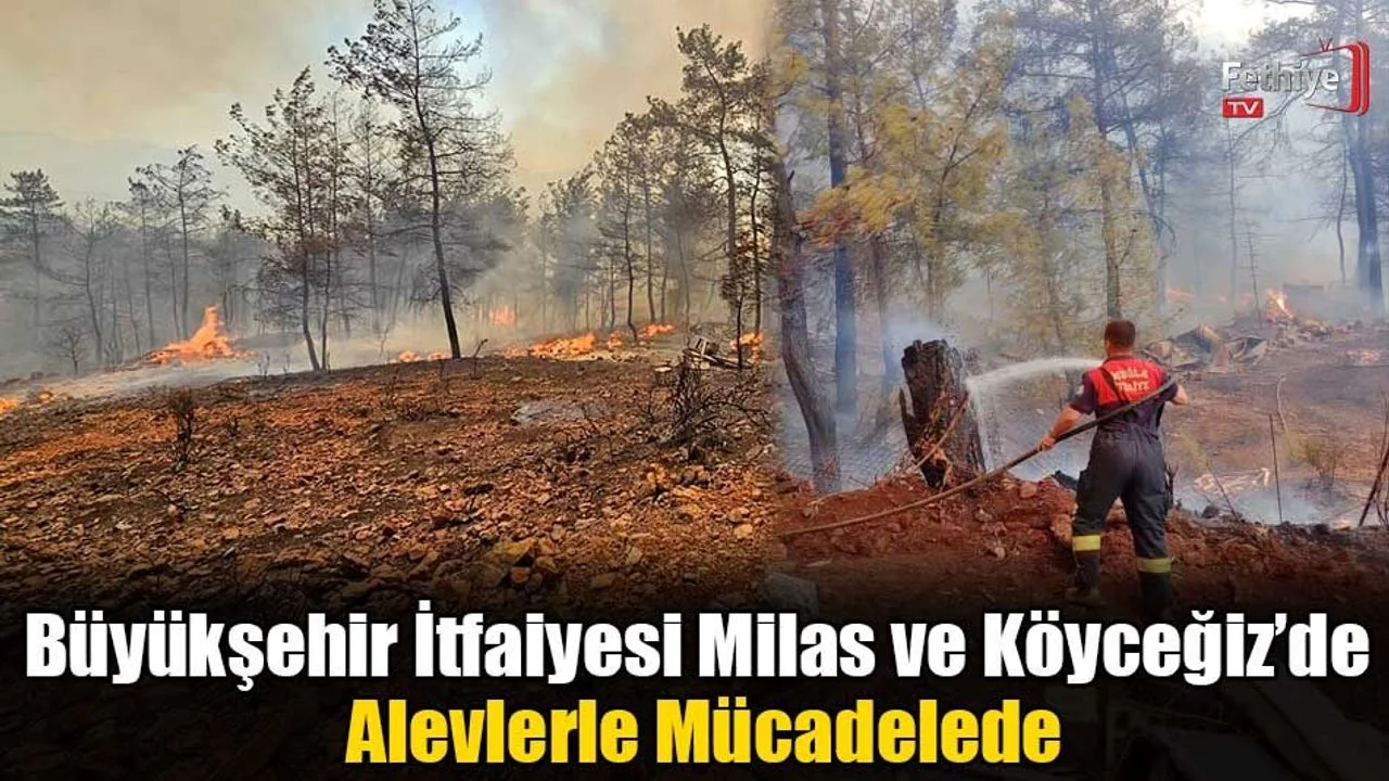 Büyükşehir İtfaiyesi Milas ve Köyceğiz’de Alevlerle Mücadelede