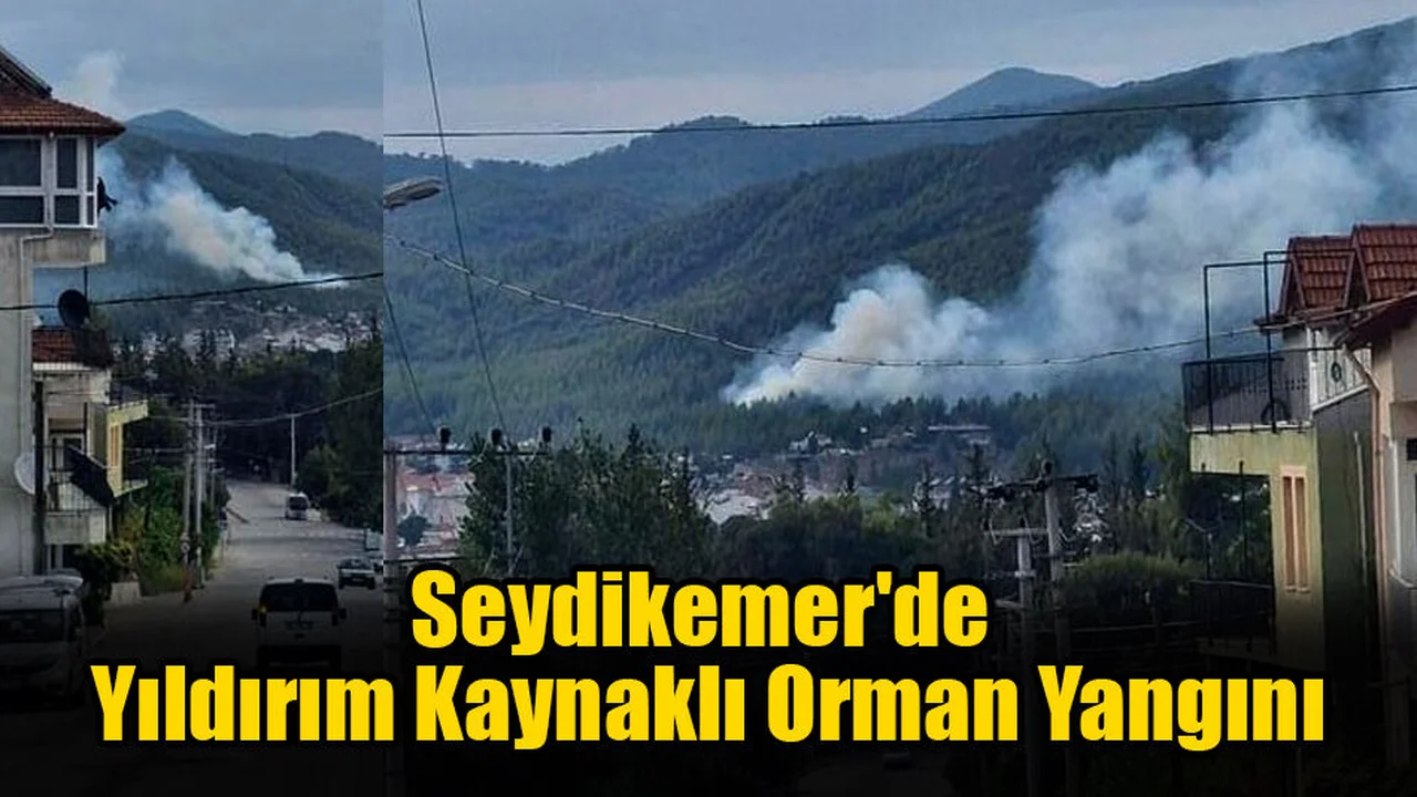 Seydikemer'de Yıldırım Kaynaklı Orman Yangını
