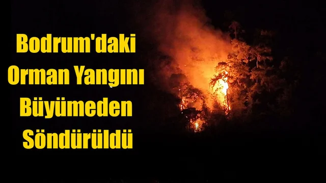 Bodrum'daki Orman Yangını Büyümeden Söndürüldü
