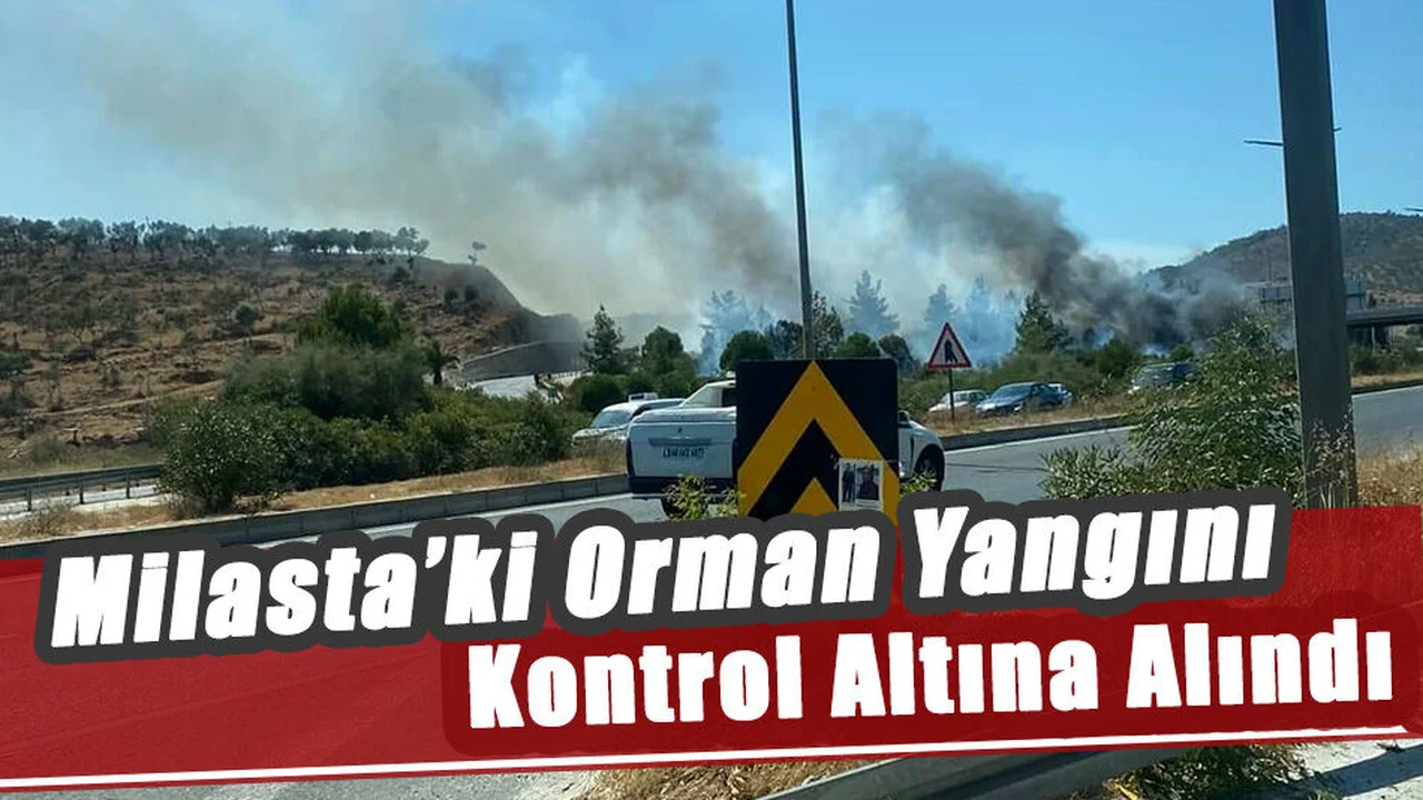 Orman Yangını Kontrol Altına Alındı