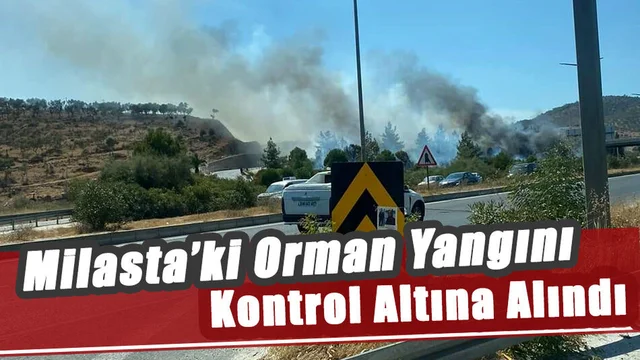 Orman Yangını Kontrol Altına Alındı