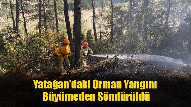 Yatağan'daki Orman Yangını Büyümeden Söndürüldü