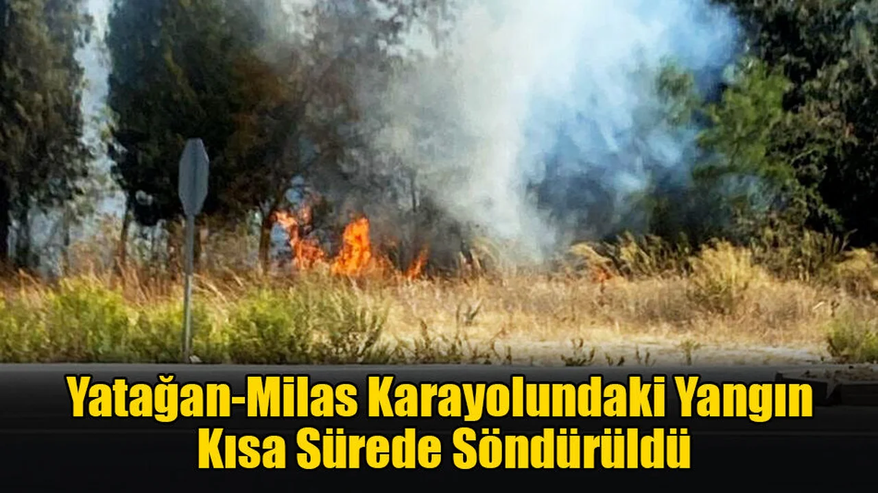 Yatağan-Milas Karayolundaki Yangın Söndürüldü