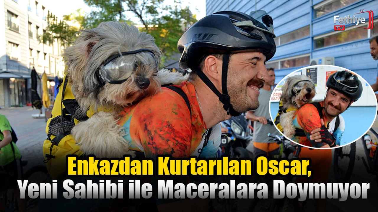 Enkazdan Kurtarılan Oscar, Yeni Sahibi ile Maceralara Doymuyor