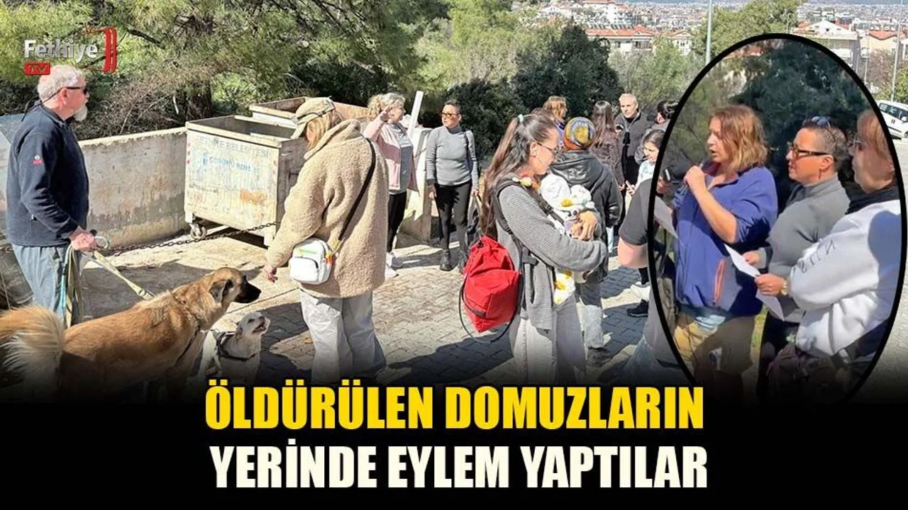 Öldürülen Domuzların Yerinde Eylem Yaptılar
