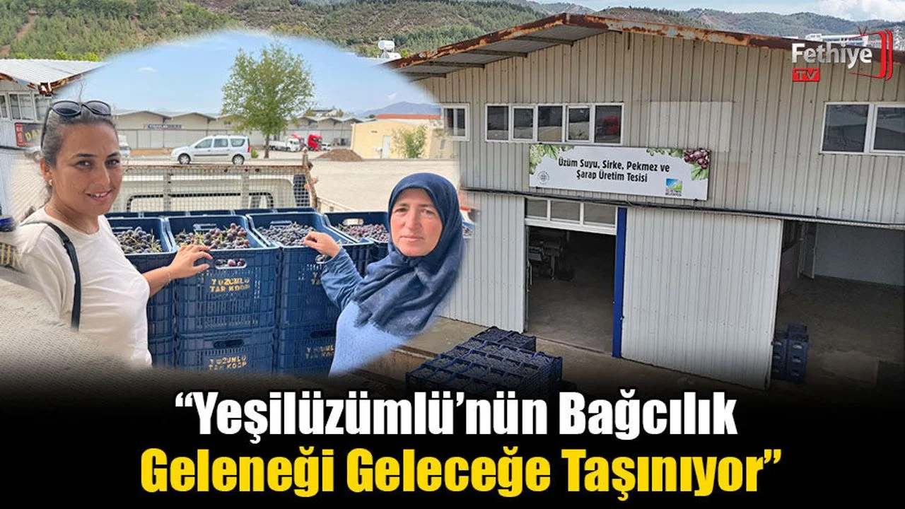 Büyükşehir’den Bağcılığa Modern Dokunuş