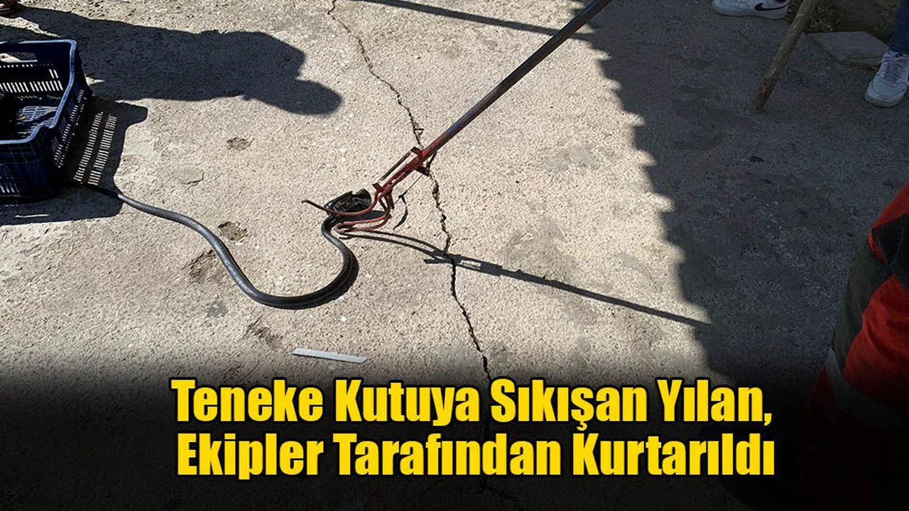 Teneke Kutuya Sıkışan Yılan, İtfaiye Ekipleri Tarafından Kurtarıldı